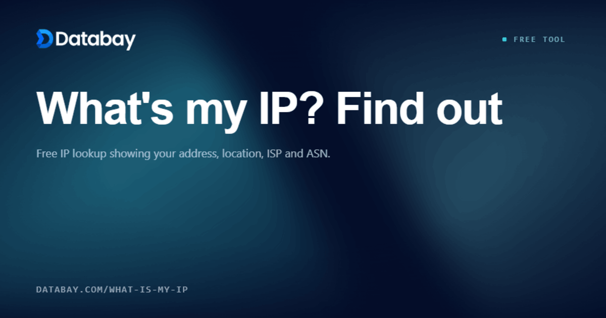 What Is My IP Address? | Free IP Lookup Tool - Databay